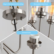6-Light Cluster Morden Livingroom Ceiling Pendant