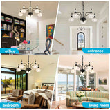 Luxury 3 & 5-Light Chandelier Fixtures with Crystal Glass Shade