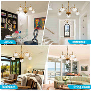 Luxury 3 & 5-Light Chandelier Fixtures with Crystal Glass Shade