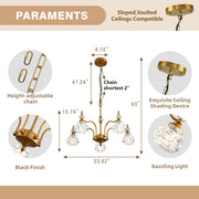 Luxury 3 & 5-Light Chandelier Fixtures with Crystal Glass Shade